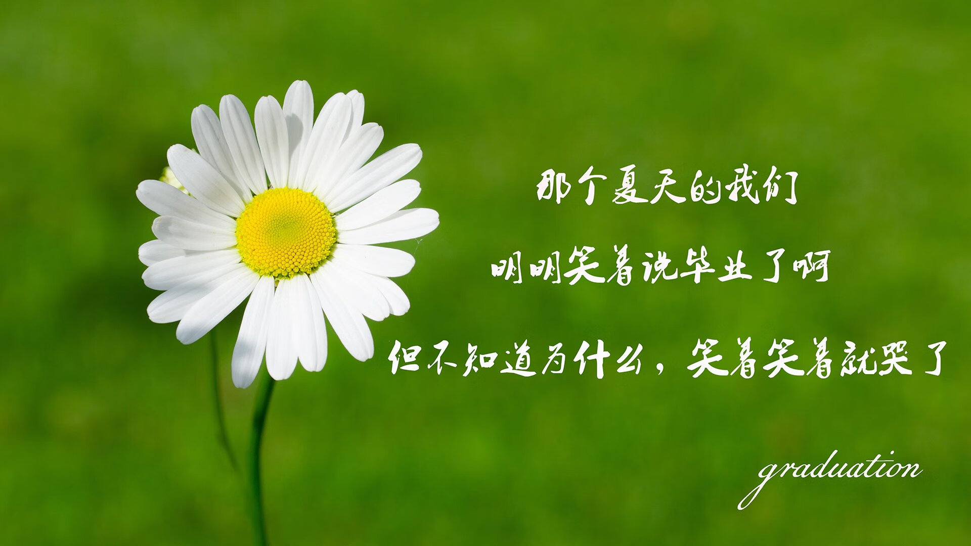 德甲裁判语义分析技术提升VAR判罚效率的应用，什么是var裁判
