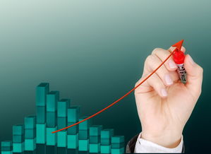 九游官网入口地址-运动项目职业路径设计与发展研究，运动职业化