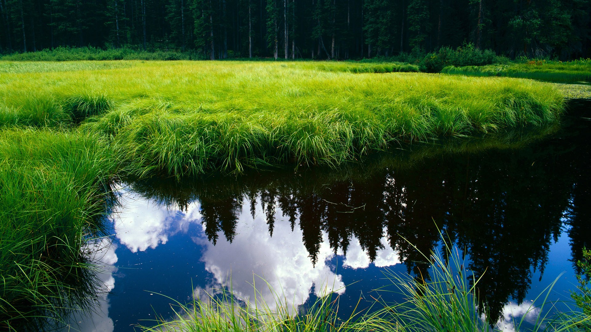 “高新体育中心网球赛：无数精彩回合点燃赛场”