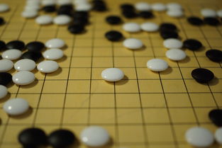 九游娱乐网站-世界围棋赛青年选手战术成熟引热议，2020世界围棋