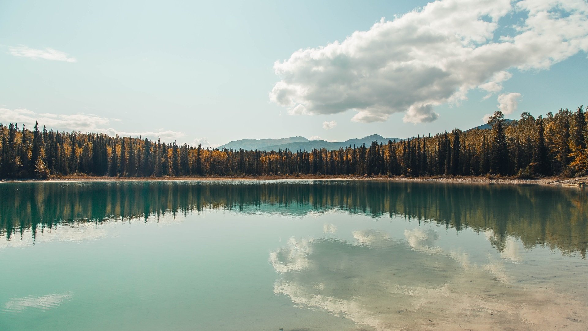 中国队在东亚杯中夺冠 悬念终结燃爆全场,东亚杯中国队名单