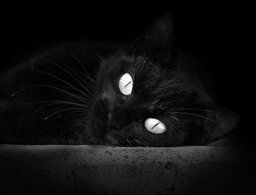 九游.中国官网-五大联赛是否提升训练中对节奏变化模拟的覆盖面，五大联赛玩法