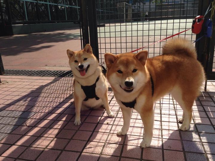 九游官网入口地址-俱乐部人事更替频率影响技战术延续性