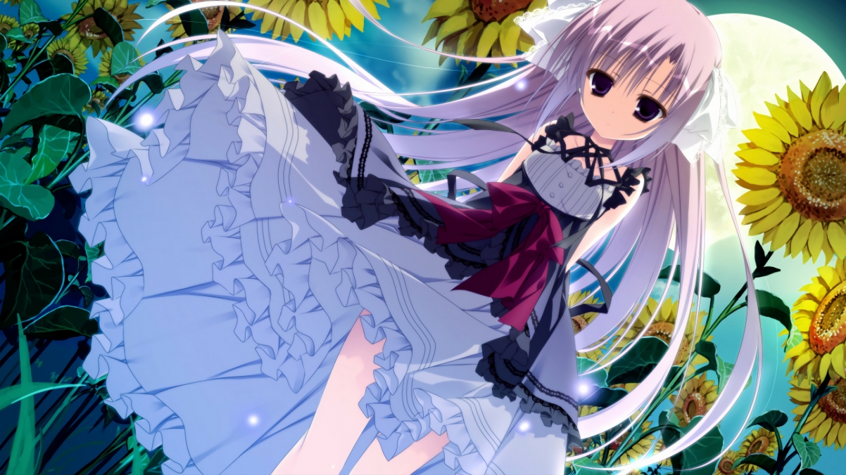 澳大利亚队在全球乒乓舞台的未来：挑战与机遇并存，澳大利亚乒乓球运动员最新情况