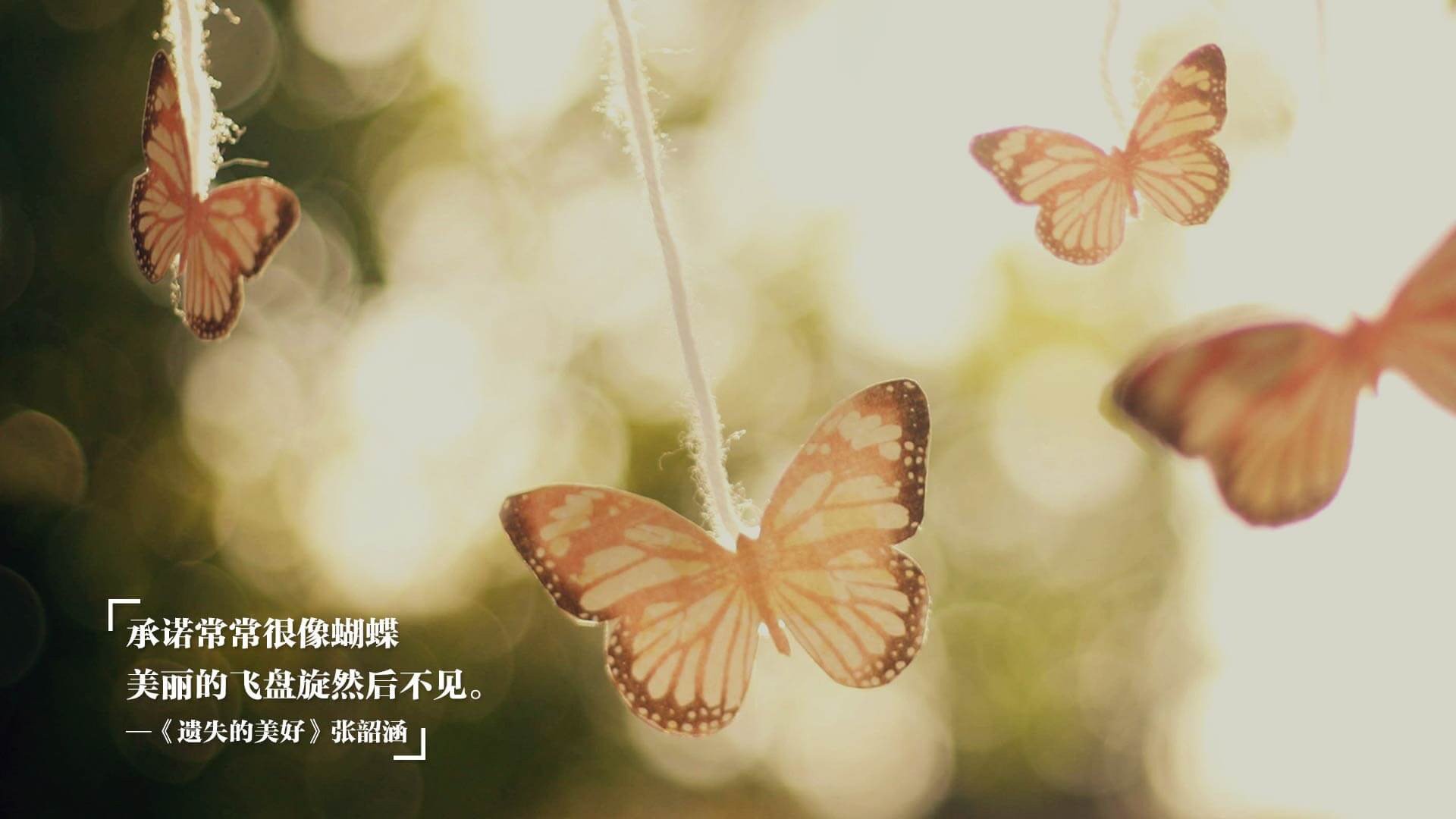 澳女队新星崛起势头猛,澳女篮联赛直播