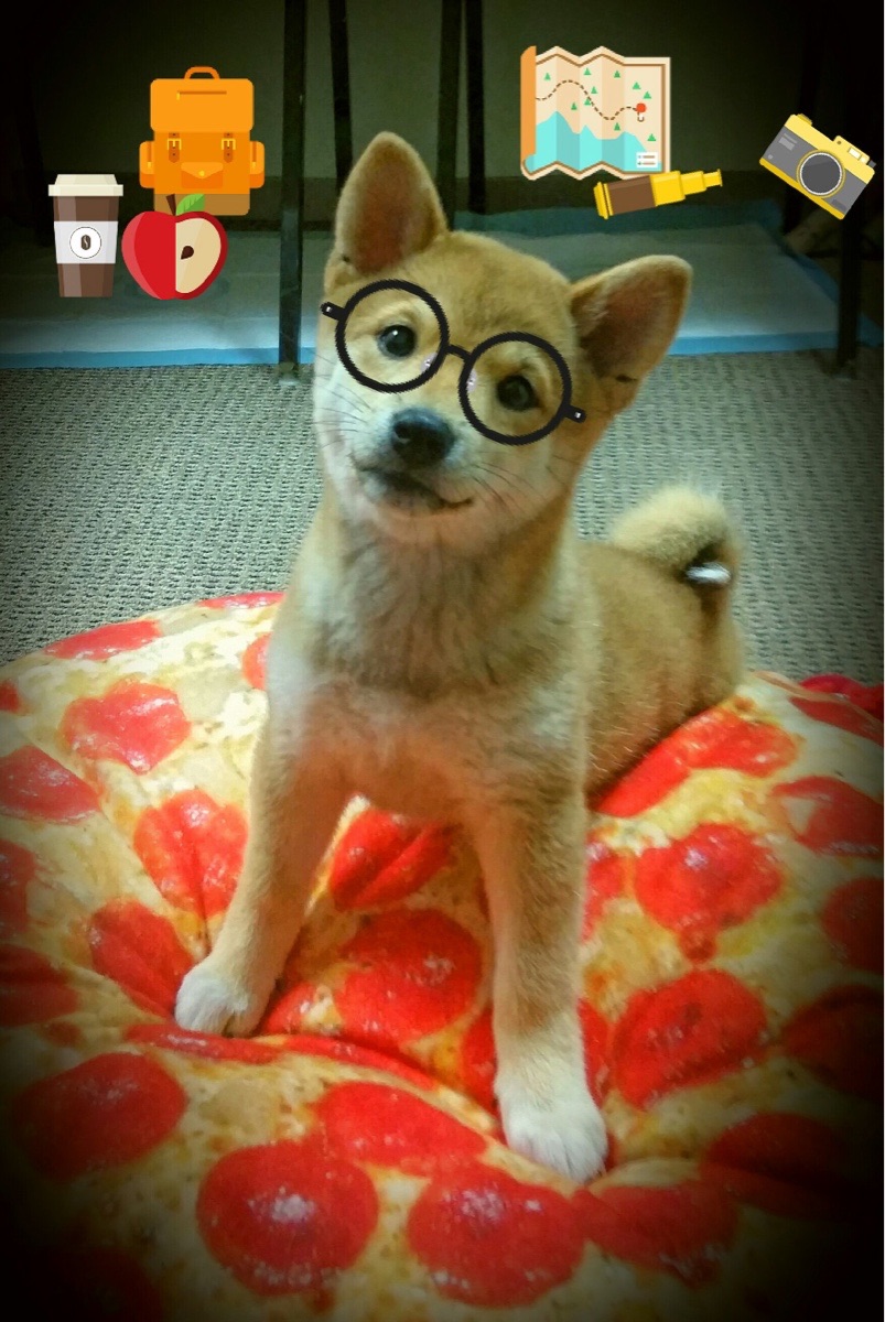 职业联赛本土球员成长受限，职业球员数量