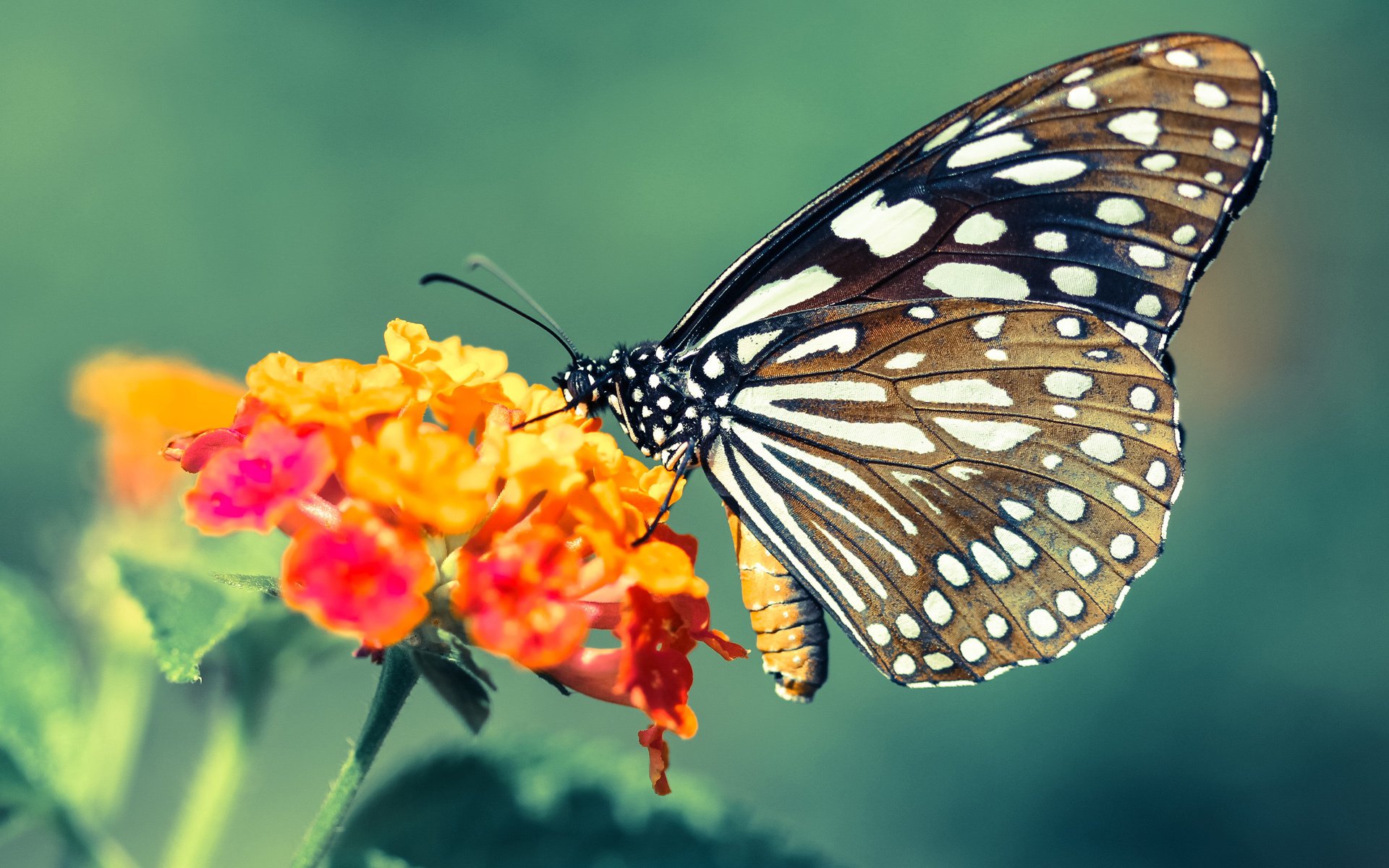 九游娱乐登录-世界杯史诗级一战：攻防博弈胶着中爆发奇迹，世界杯 战争