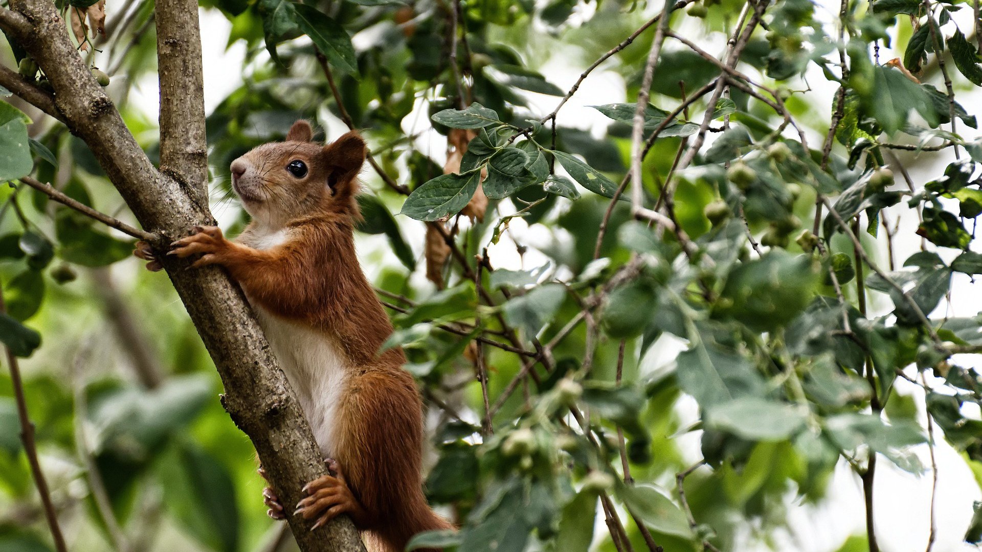 仰泳强项希腊坚持到底获突破,仰泳解析