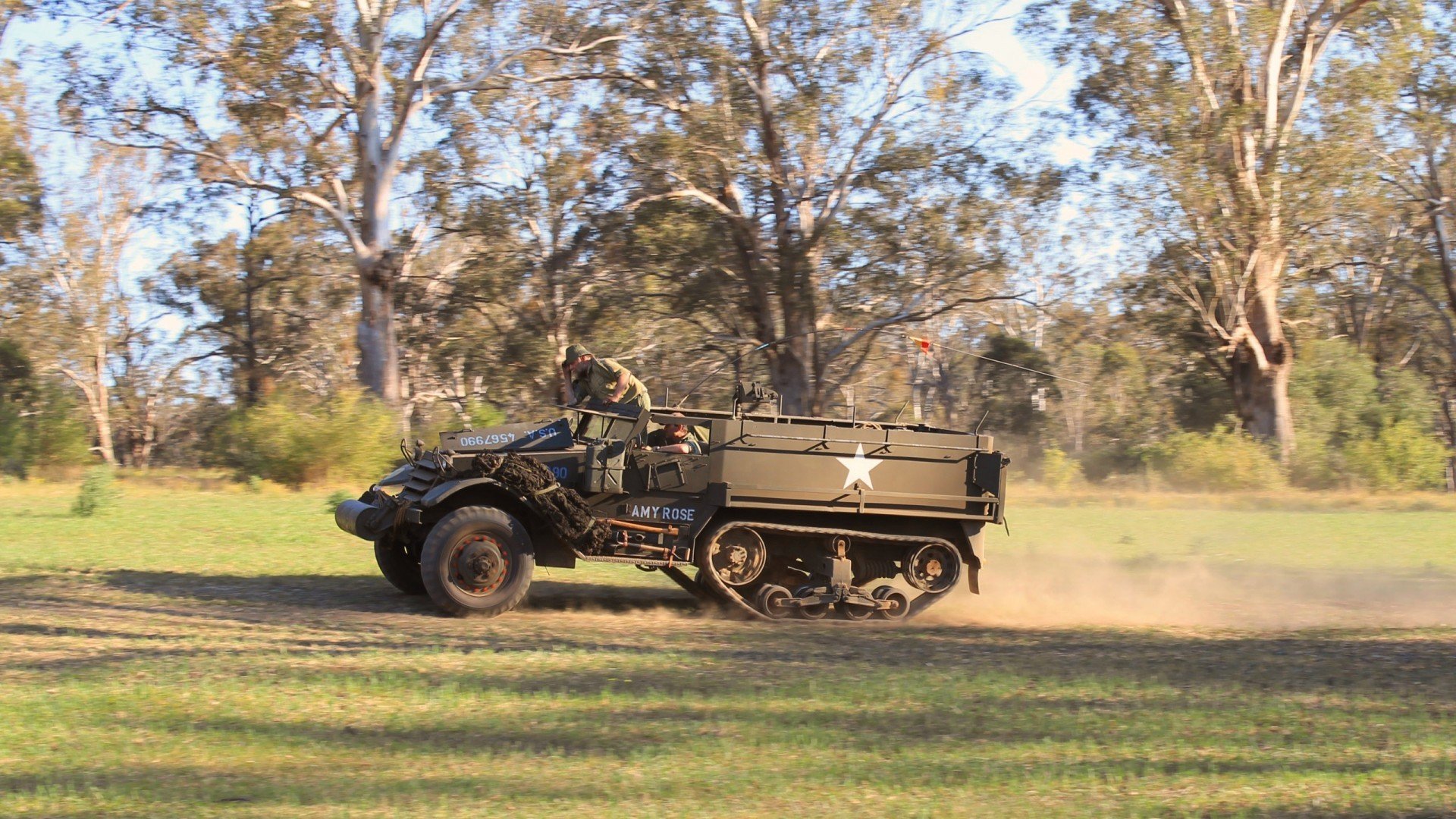 塞尔维亚男篮在欧洲锦标赛中勇夺金牌，开启新辉煌，塞尔维亚男子足球队欧洲杯