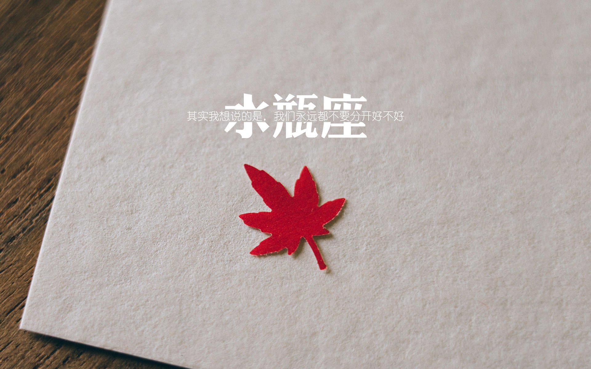 塞内加尔男篮在非洲锦标赛中奋战，争取佳绩创造历史，塞内加尔男篮名单