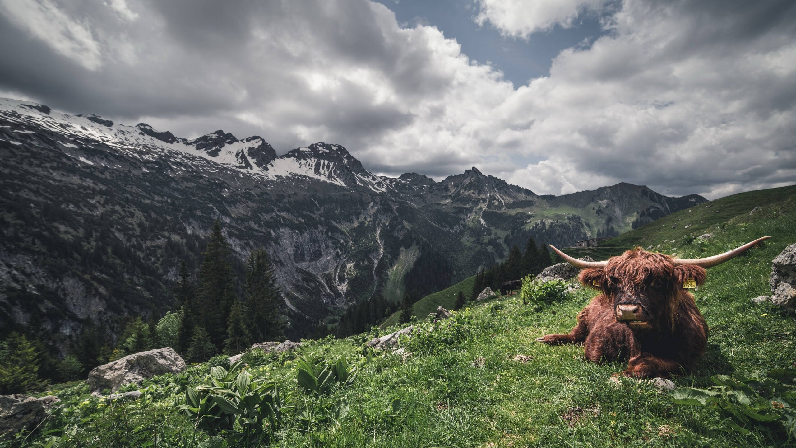朱婷强攻能力提升训练中多次得分,朱婷强攻效率高