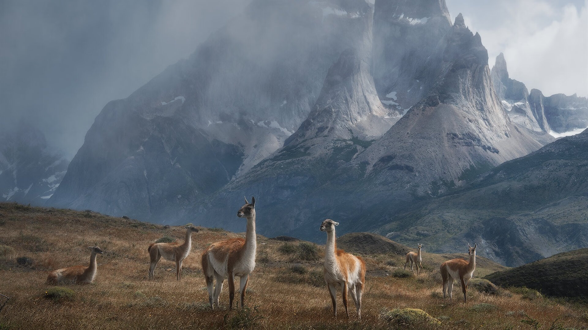 游泳技术细节标准化趋势明显，游泳技术要领