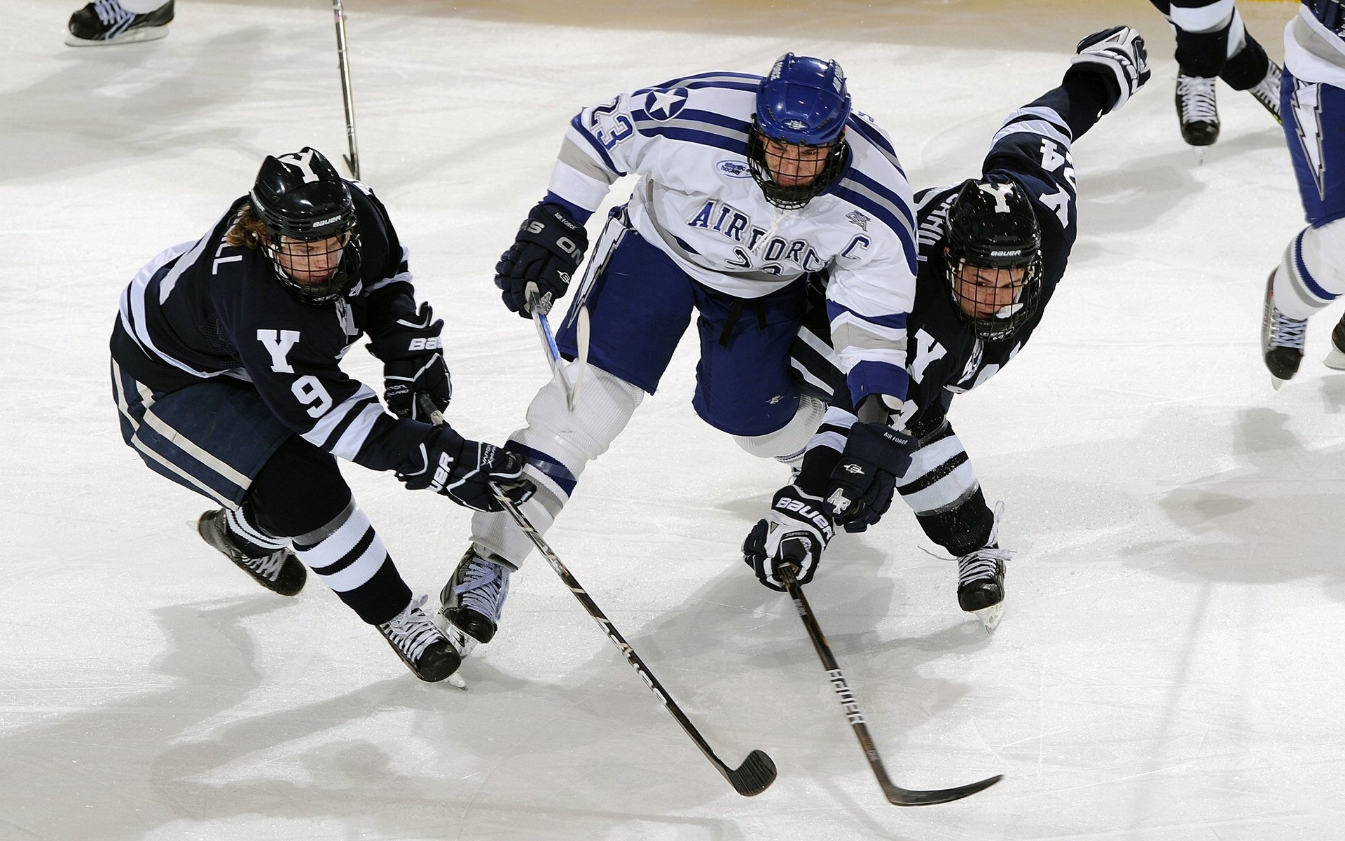 公牛调整战术结构,整体进攻更具威胁,公牛最强